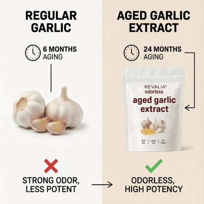 Aged Garlic Extract - 7500mg Odorless Softgels